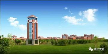 广东肇庆学院吃瓜,校园“吃瓜”盛况，揭秘校园生活趣味瞬间