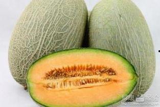 吃哈密瓜猿猴,哈密瓜诱惑下的猿猴美食之旅