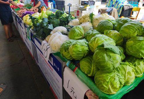 吃瓜摆摊的视频,吃瓜摆摊，揭秘市井生活百态