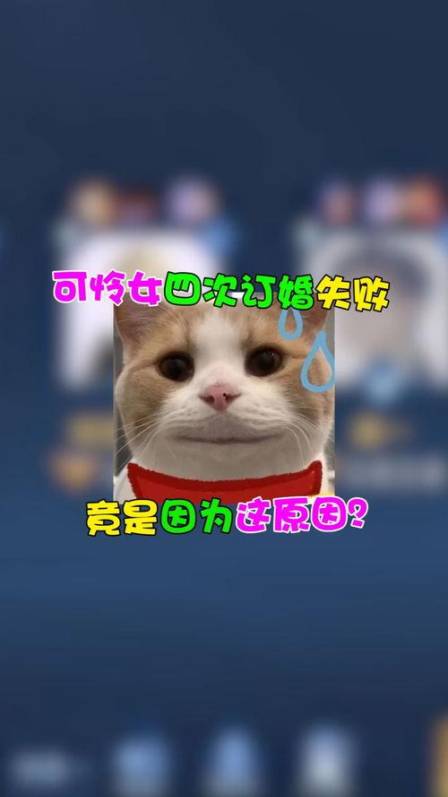 家人们看我吃瓜,一起围观这场吃瓜盛宴！