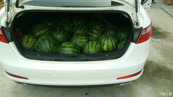 汽车吃瓜的照片,捕捉夏日街头趣味一幕