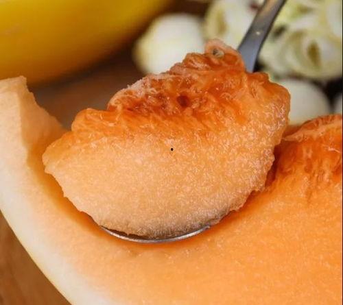 黄的蜜瓜怎么吃,多款创意食用方法大揭秘