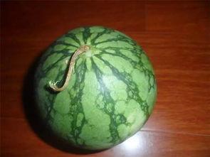 极挑吃瓜,吃瓜群众揭秘节目幕后故事