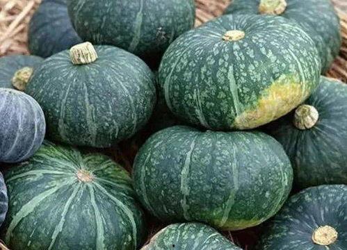 《逐玉》吃瓜,宫廷权谋与美食诱惑的宫廷秘史