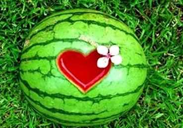 梦到吃茜瓜图片,茜瓜幻境之旅