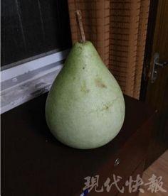 盐城热议吃瓜,吃瓜群众如何定义新时代社交现象