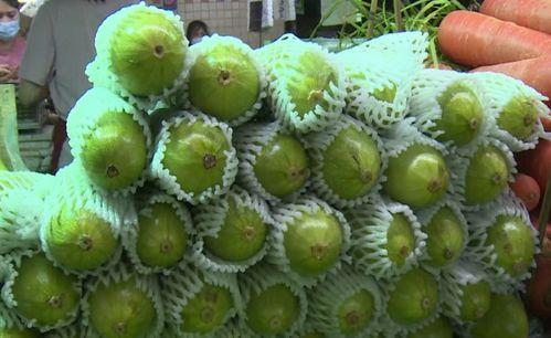 葫芦瓜吃有苦味可以吃吗